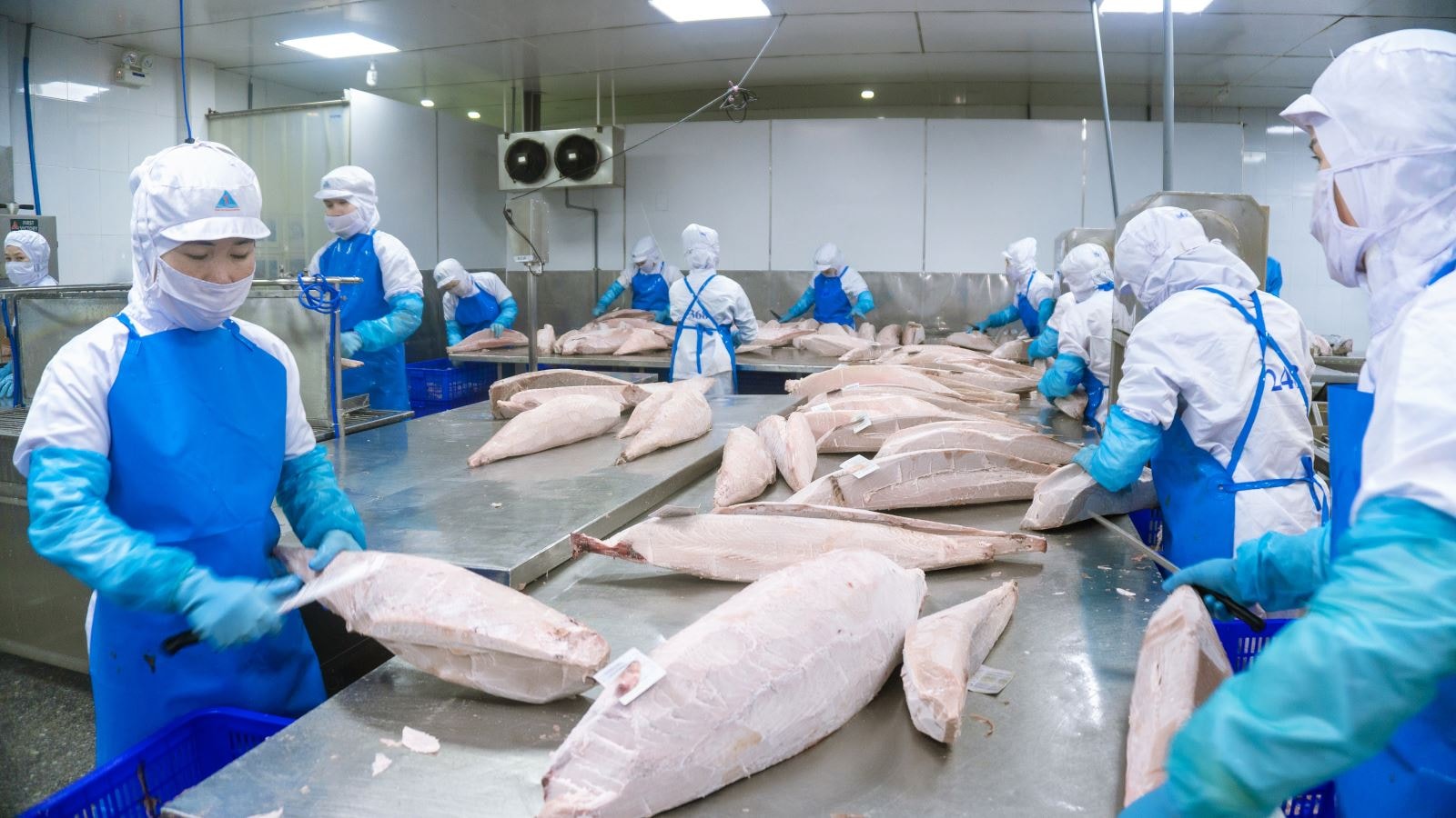 Product Sourcing